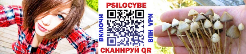Галлюциногенные грибы Magic Shrooms  Купить закладки  Мегион 